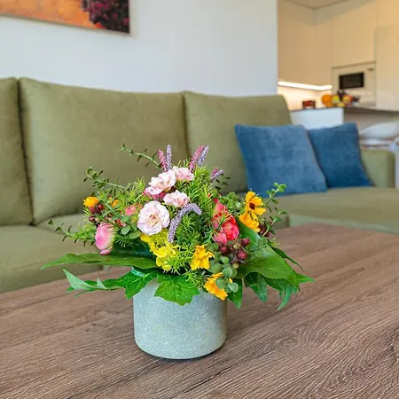 Apartman Rotonda Spaniahome *